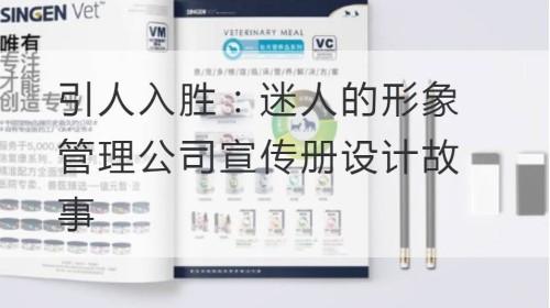 引人入胜：迷人的形象管理公司宣传册设计故事